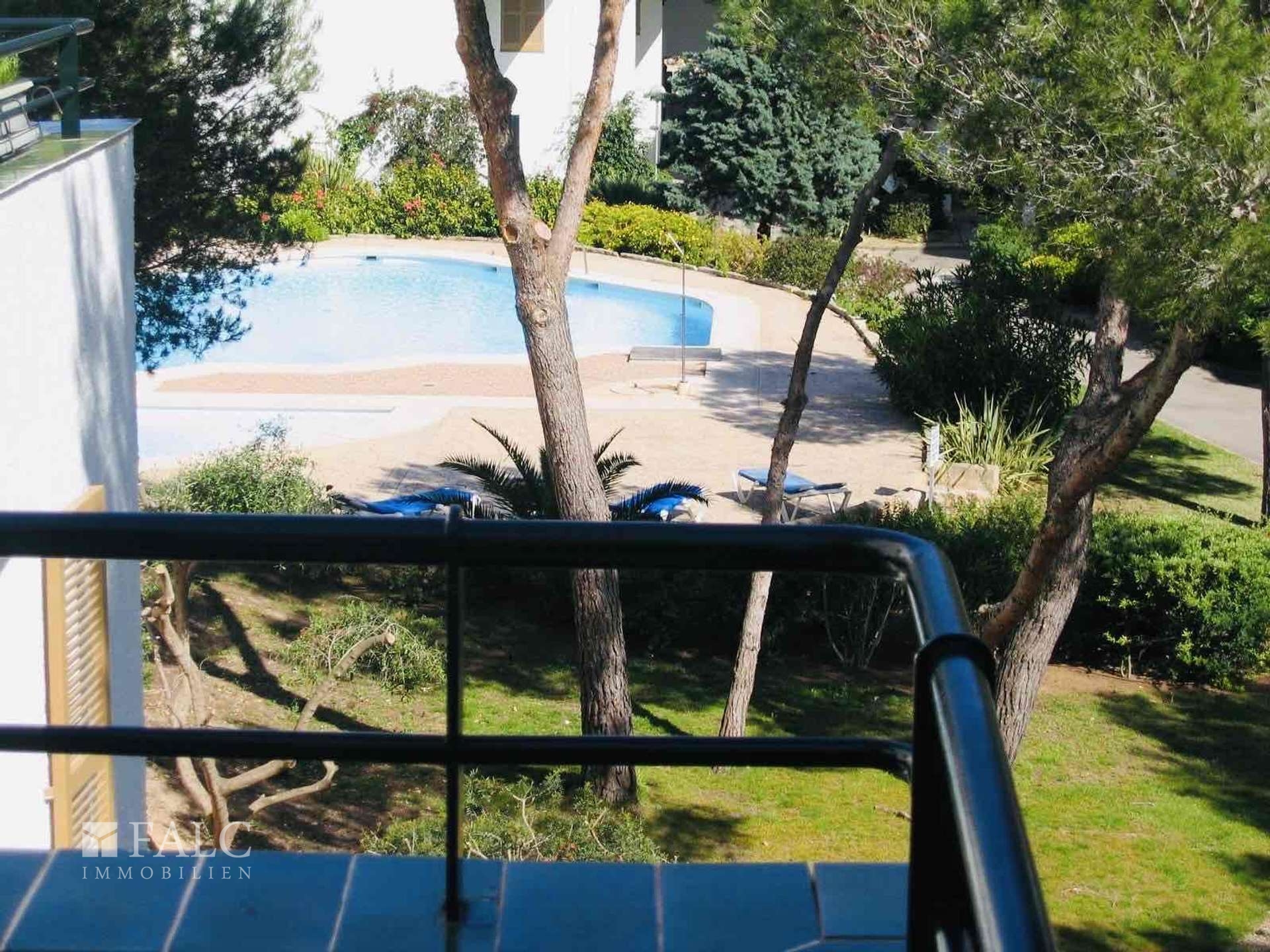 Community pool