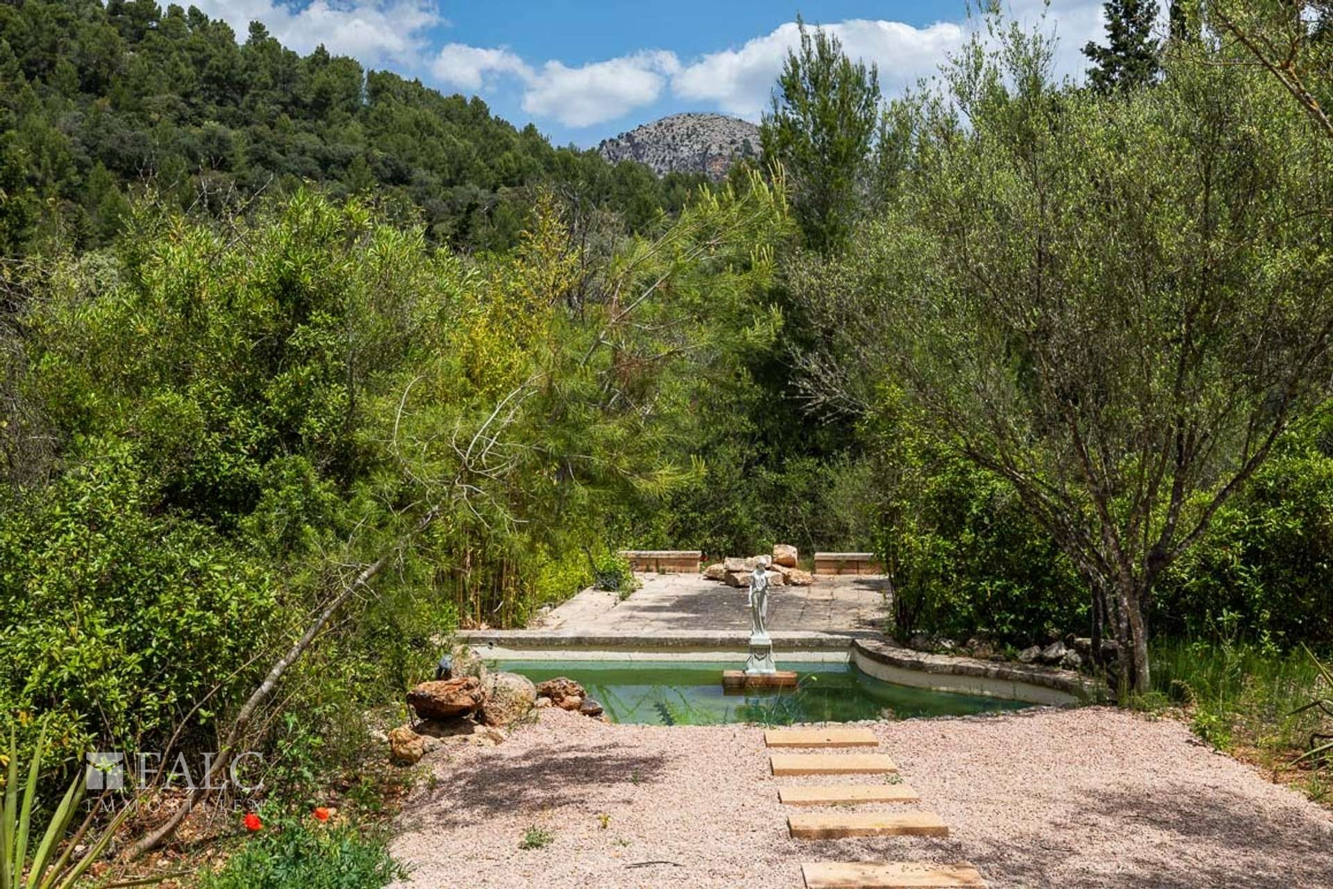 Pond  view