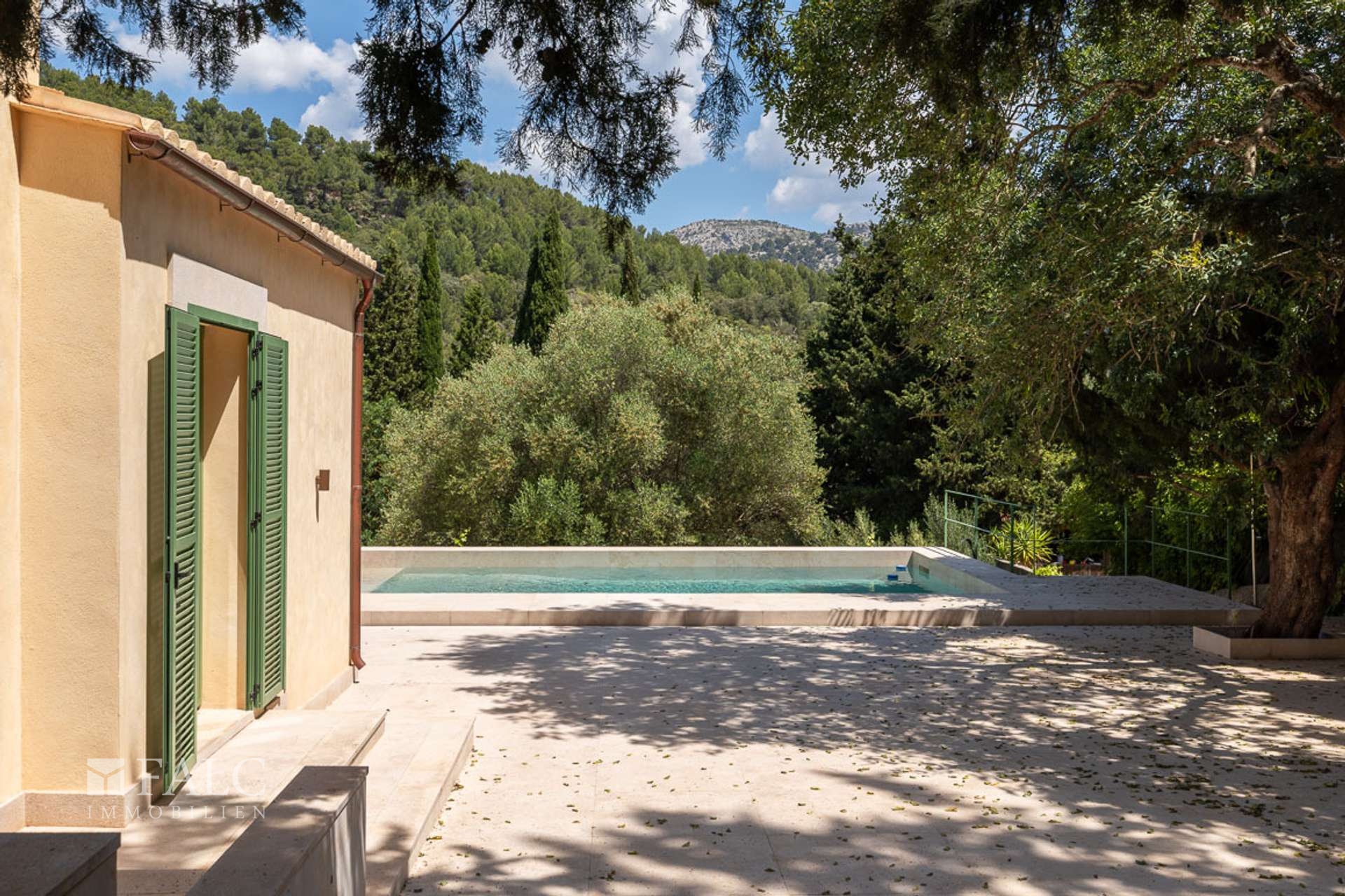 Terrace  pool