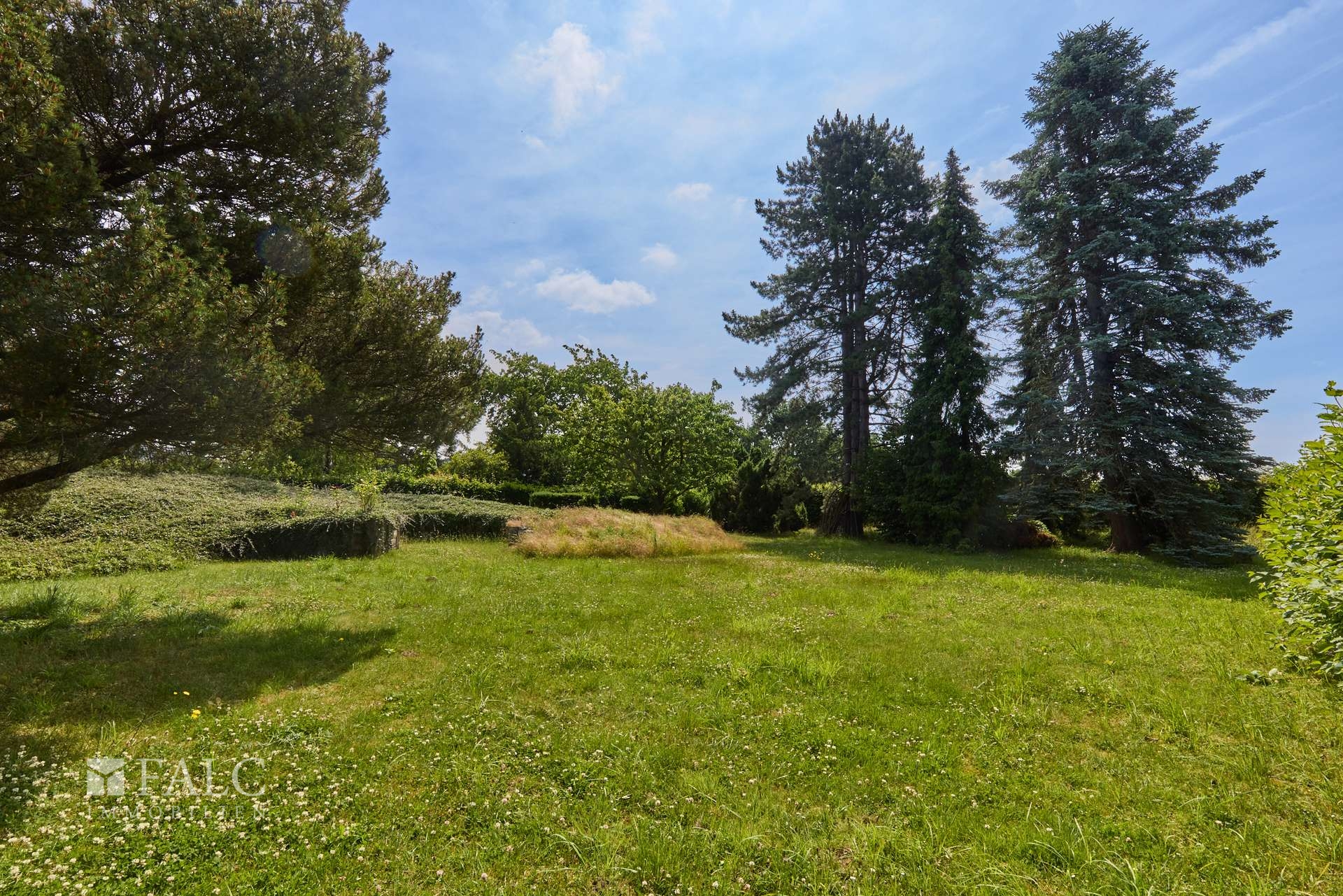 Blick in die Natur 