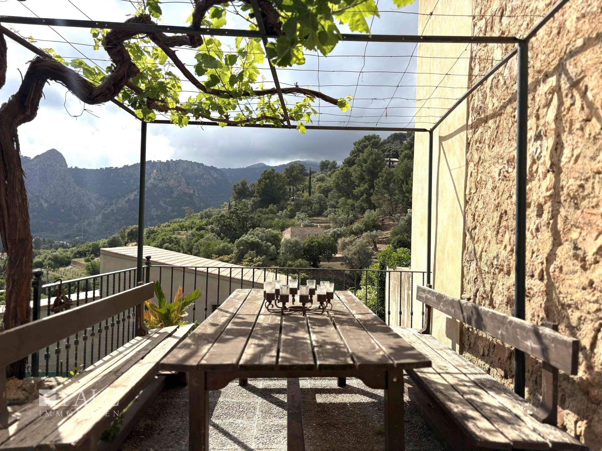 View