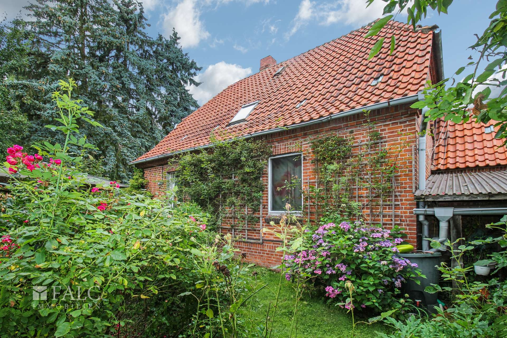 Seitenansicht
