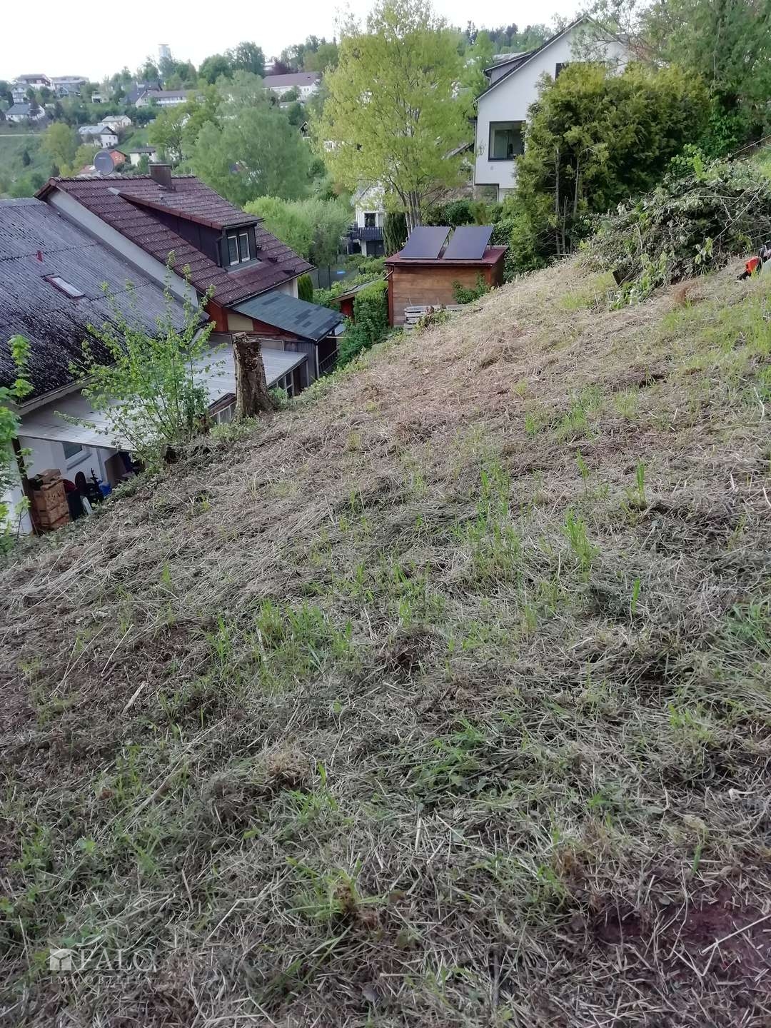 Foto aus April 2025