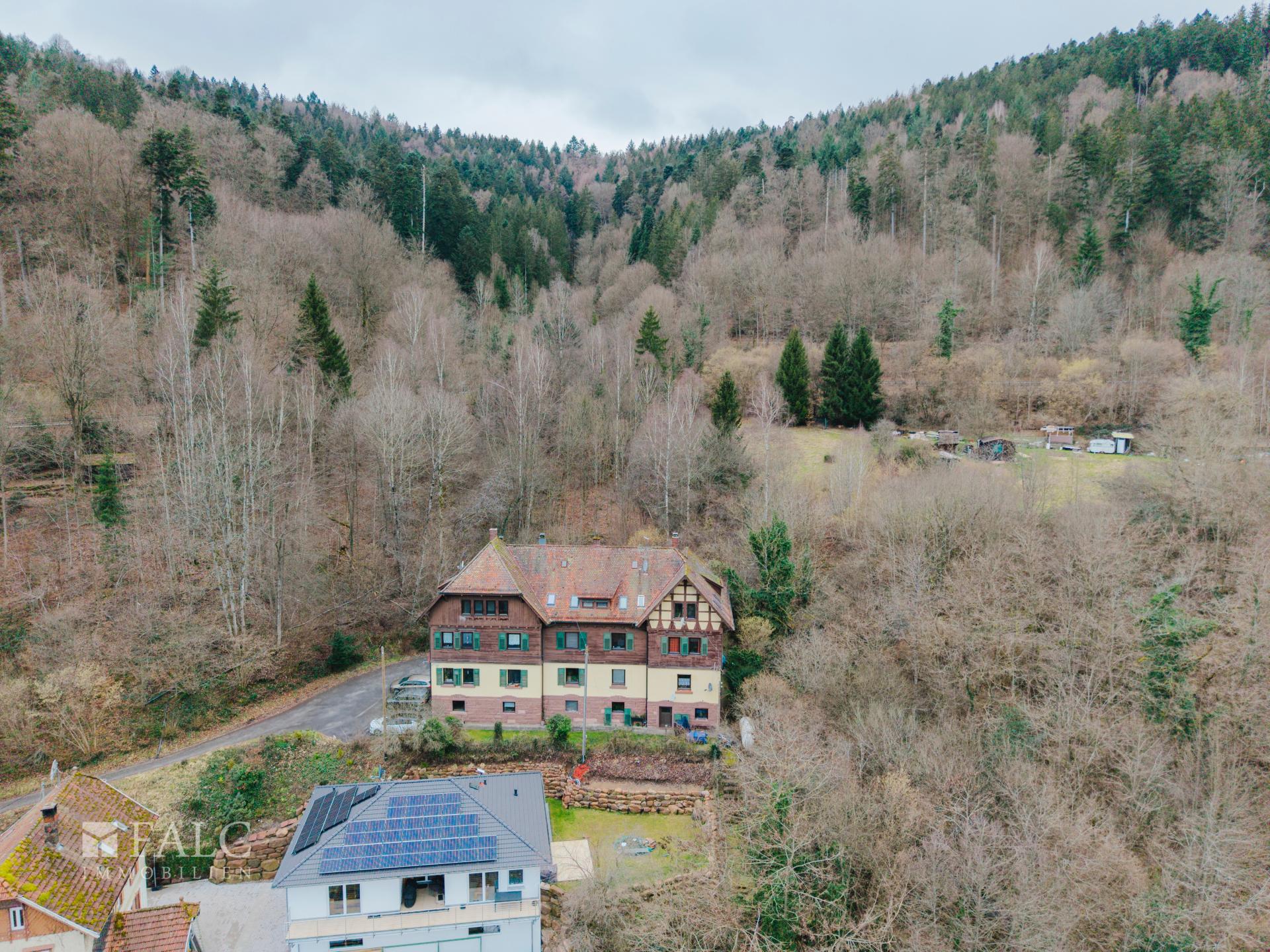 DJI_20250130152459_0267_D