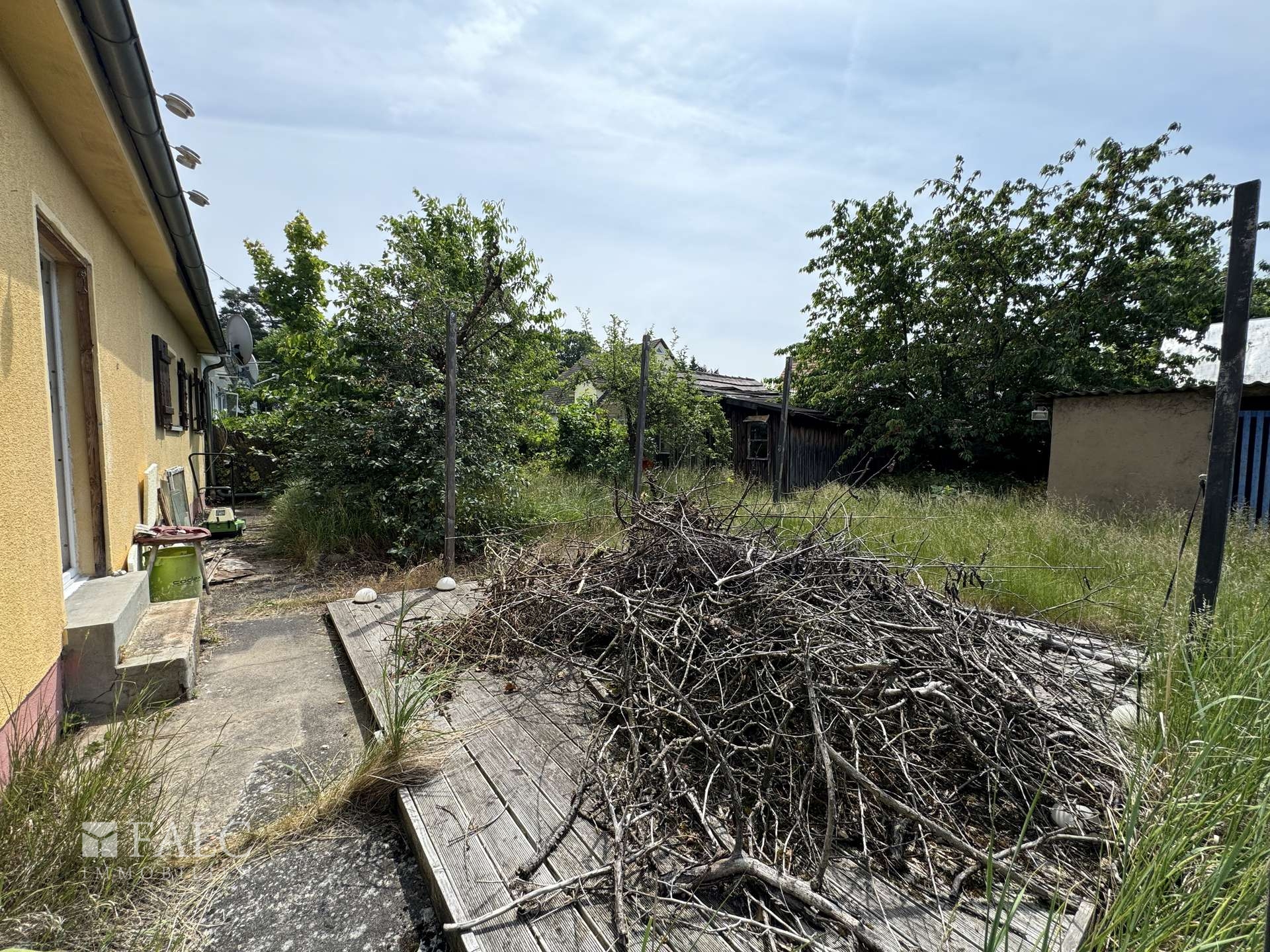 Gartenhälfte 1