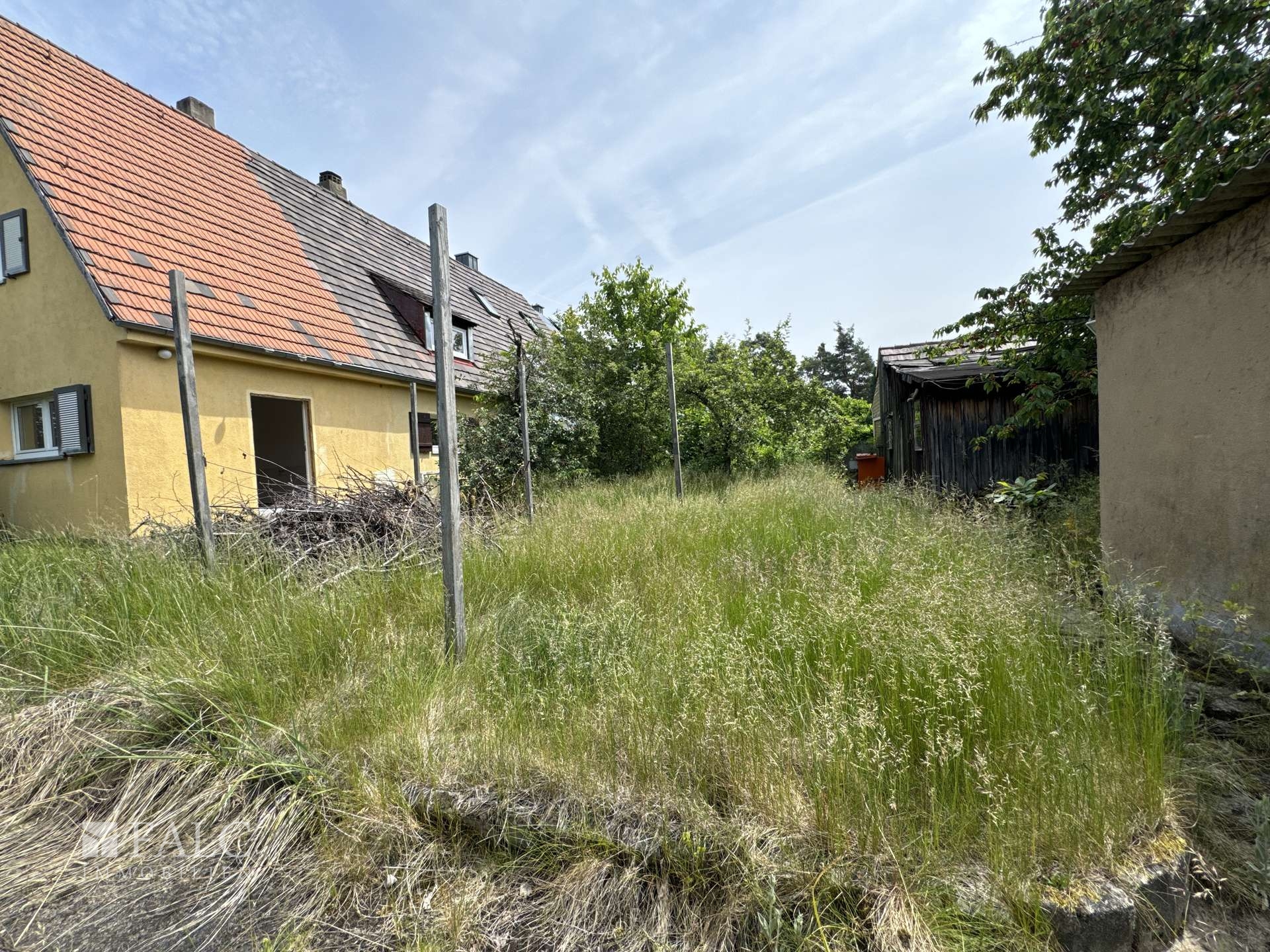 Gartenhälfte 1