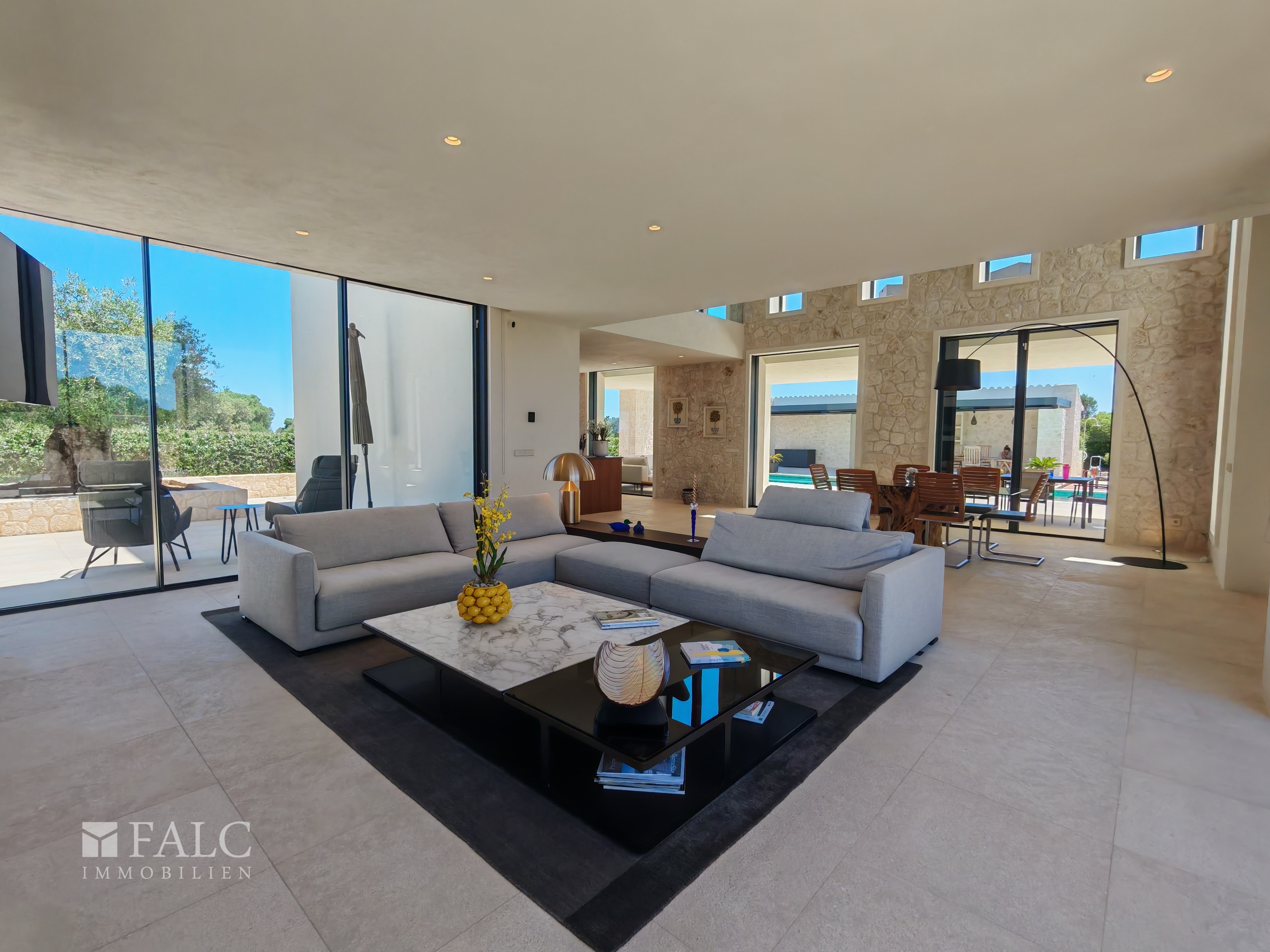Living Room Area