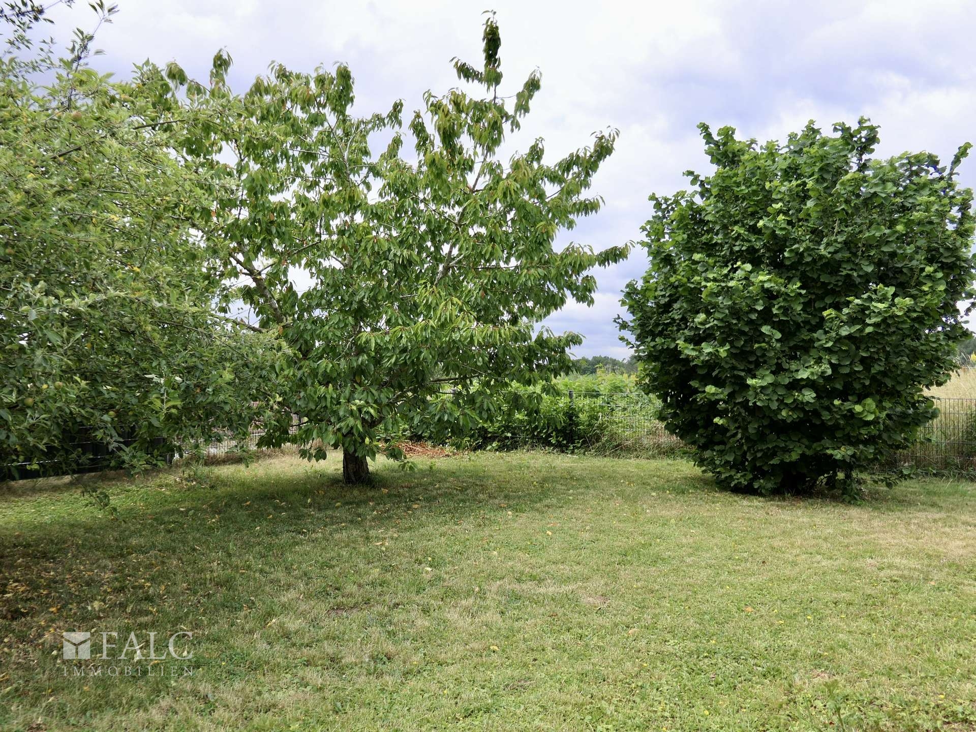 Apfel- und Kirschbaum u. a.