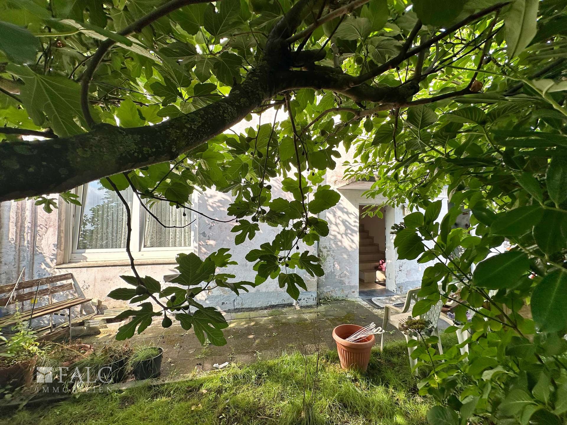 Feigenbaum