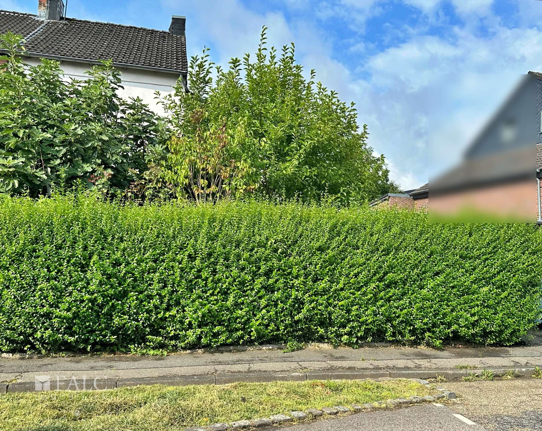 uneinsehbarer Vorgarten