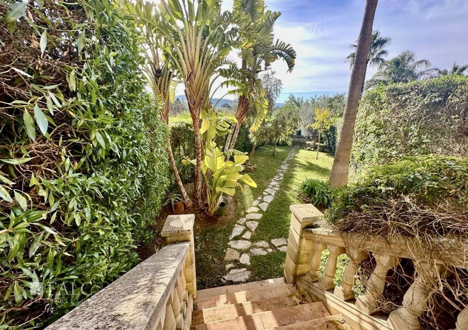 Garden
