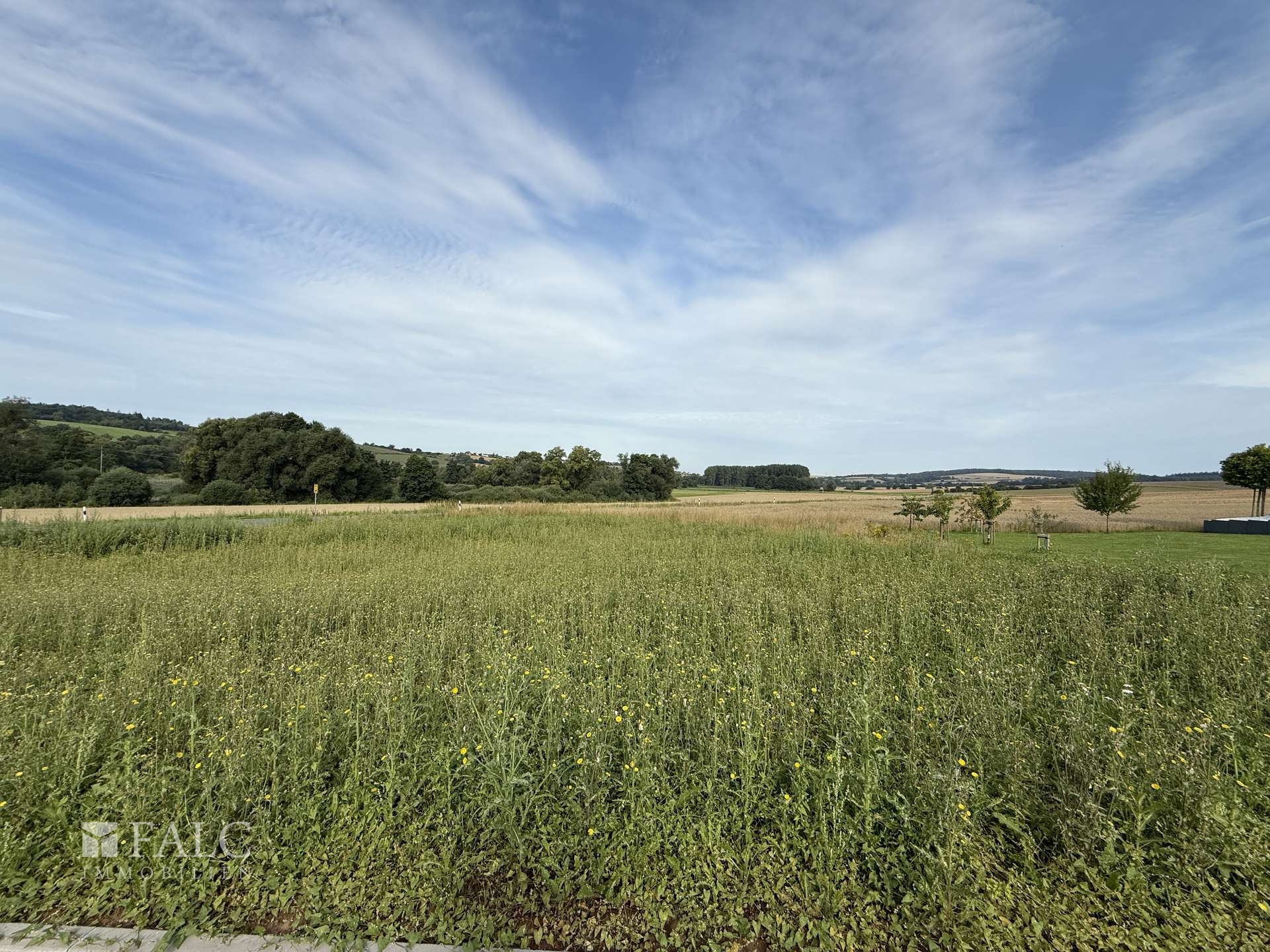 Grundstueck