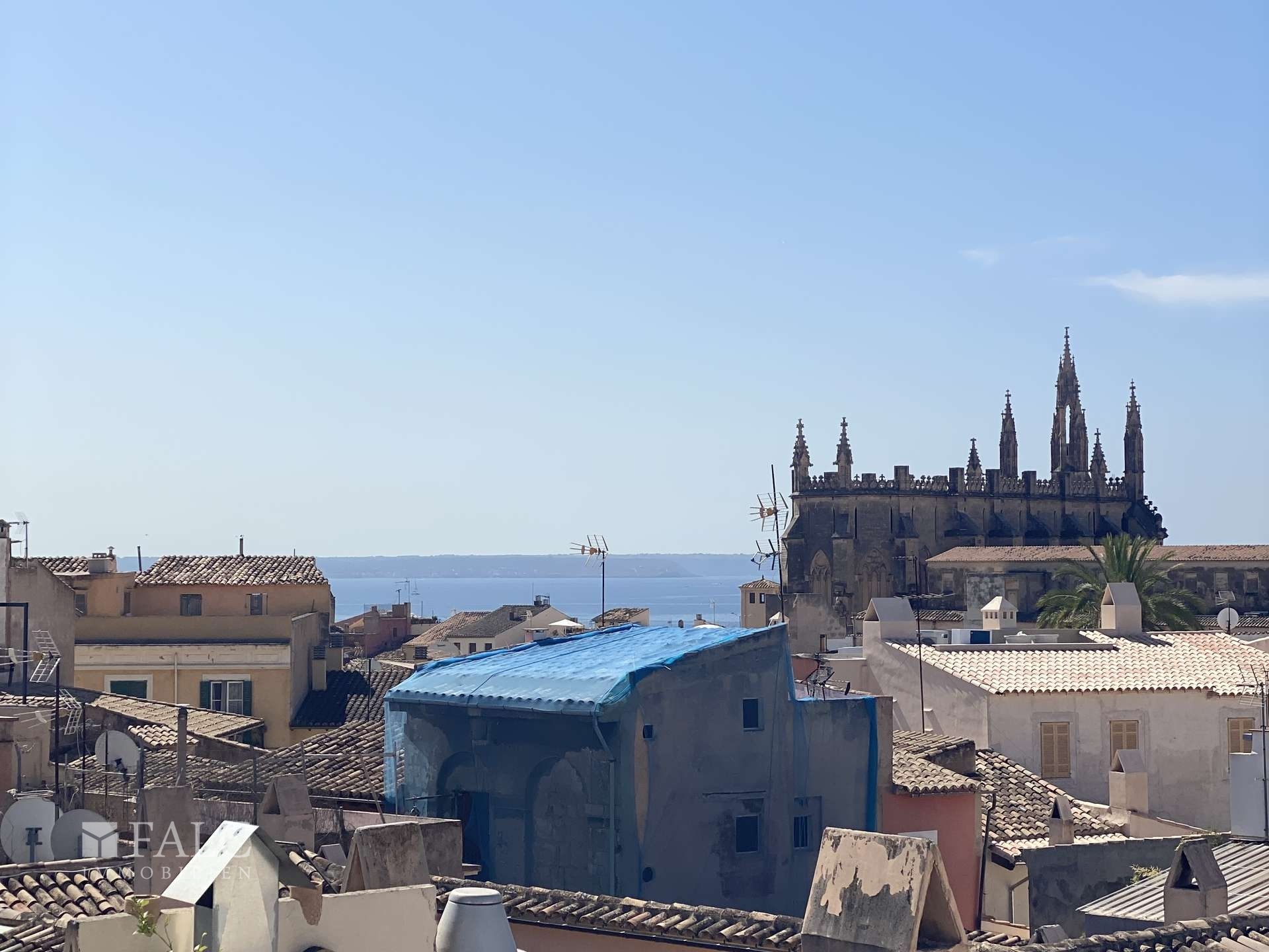 Terrace View