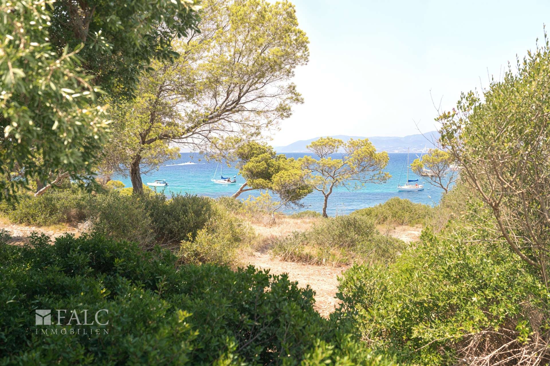 View
