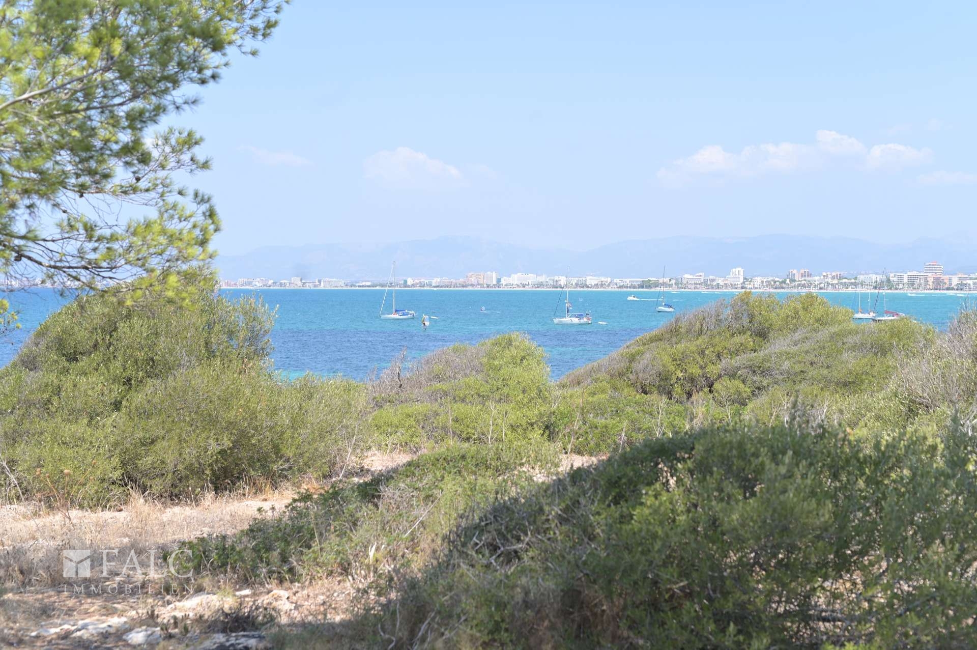 View