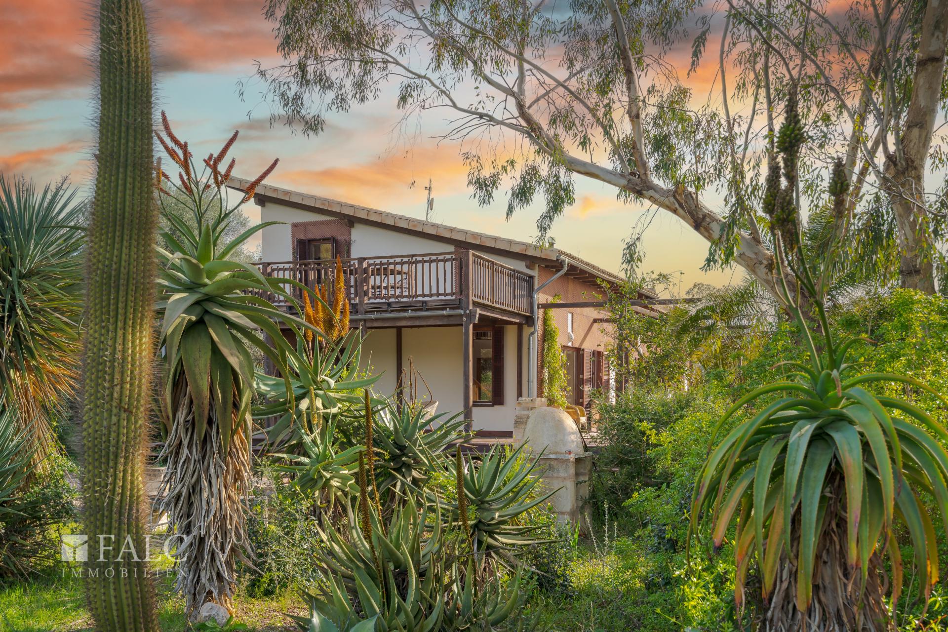 View House