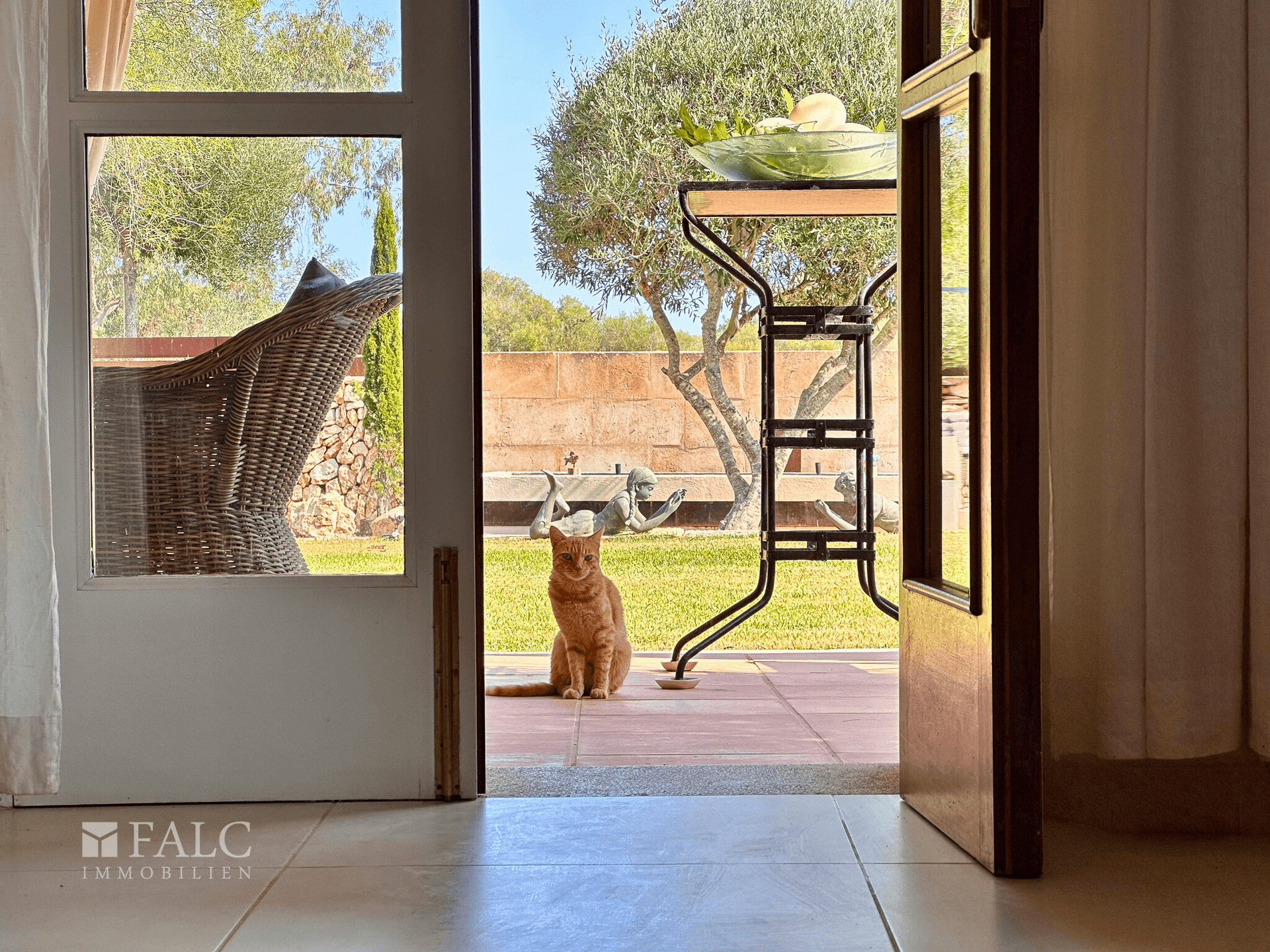 Katze