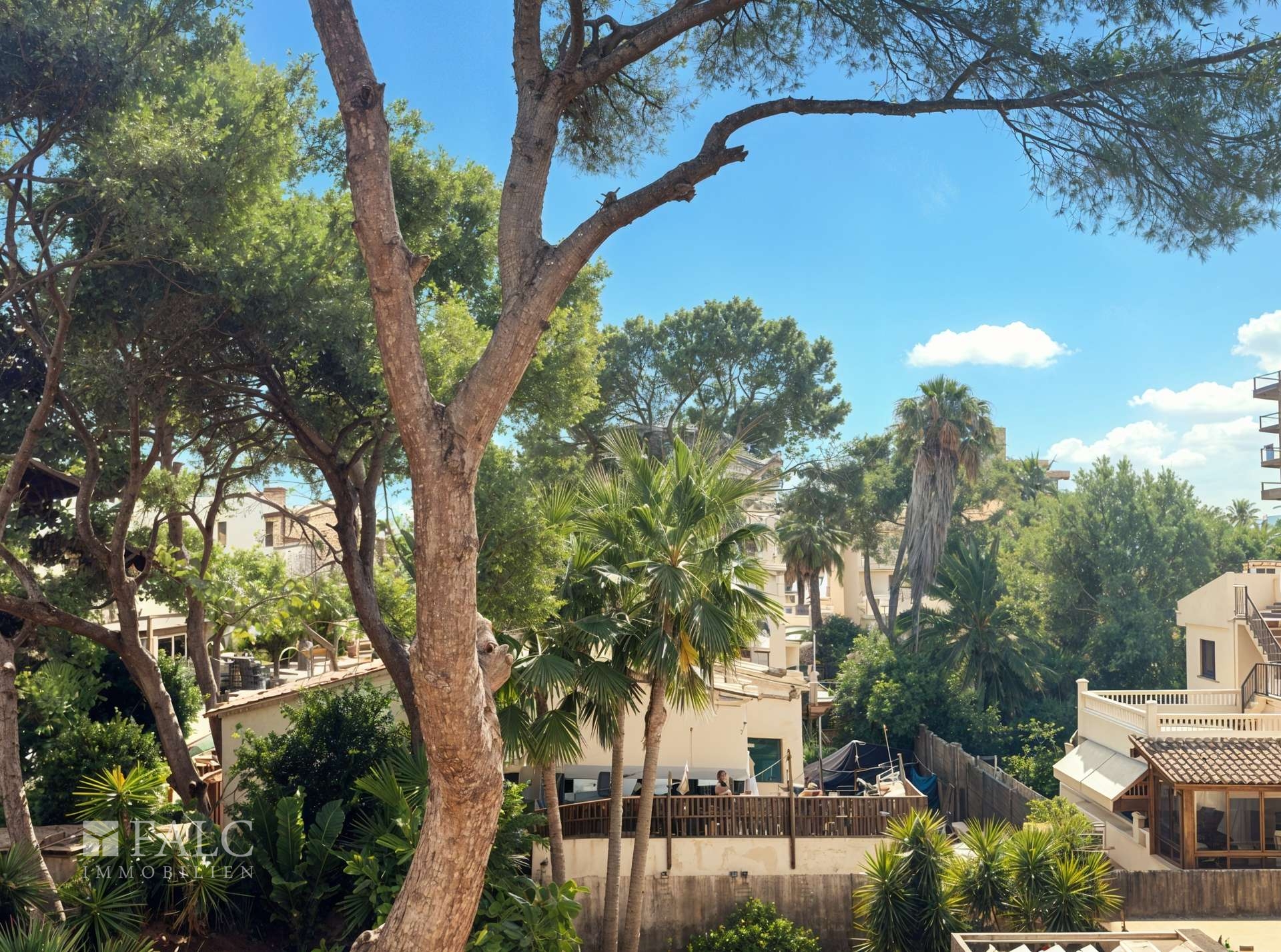 View