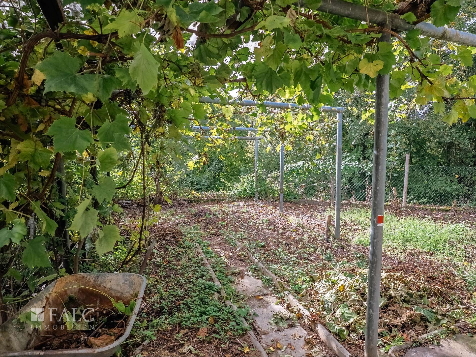 DSC09992-HDR-1