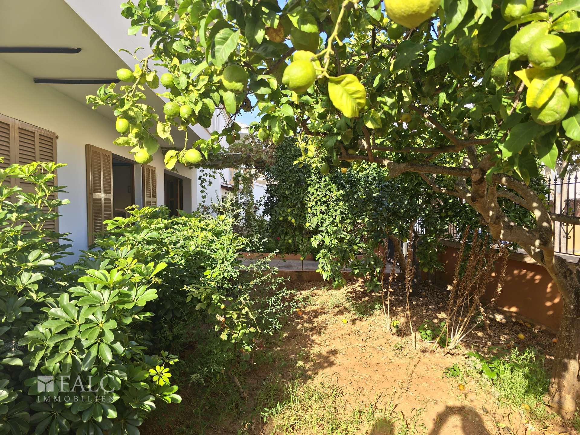 Garten