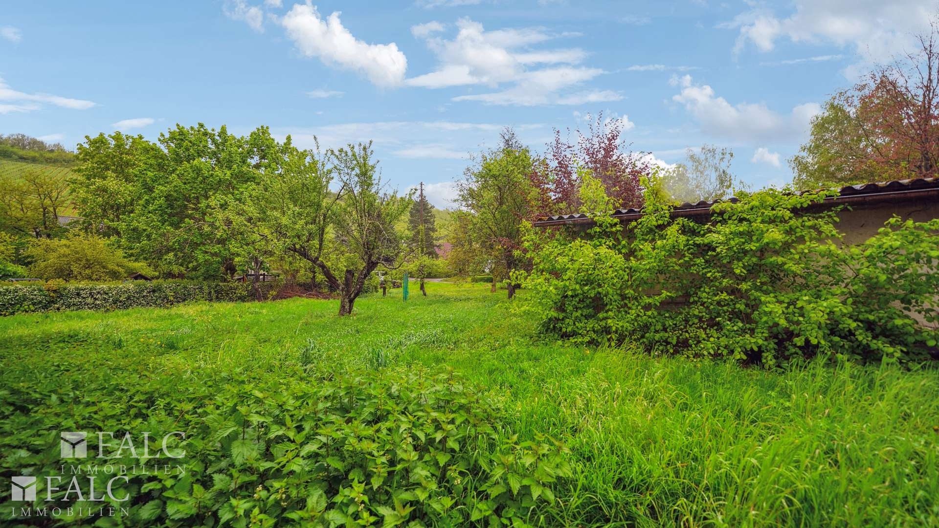 Bauplatz auf 535 m²