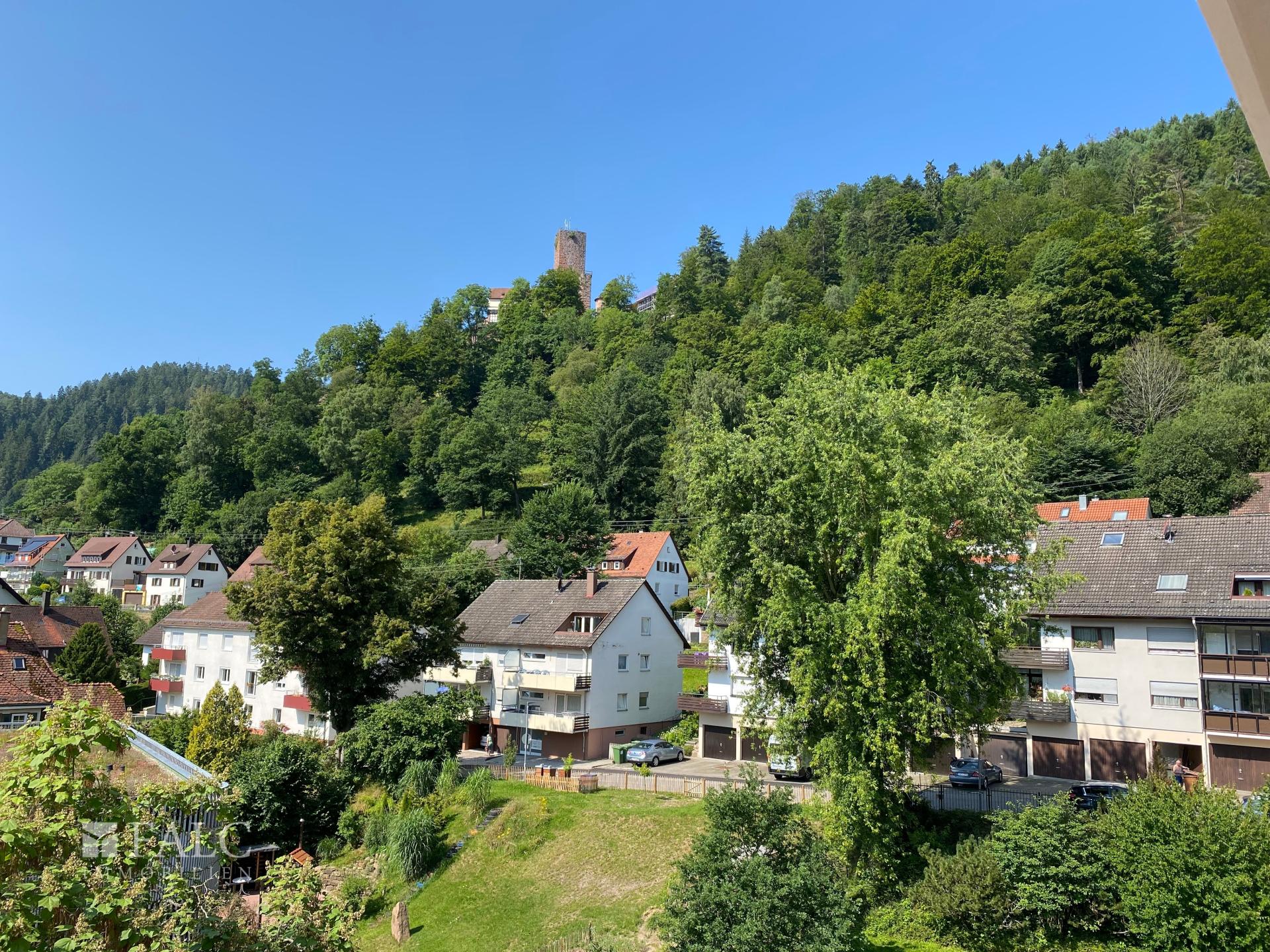 Blick auf die Burg