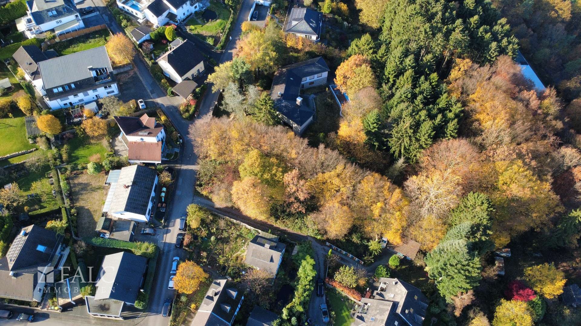 dji_fly_20251107_111322_29_1762510510118_photo_optimized