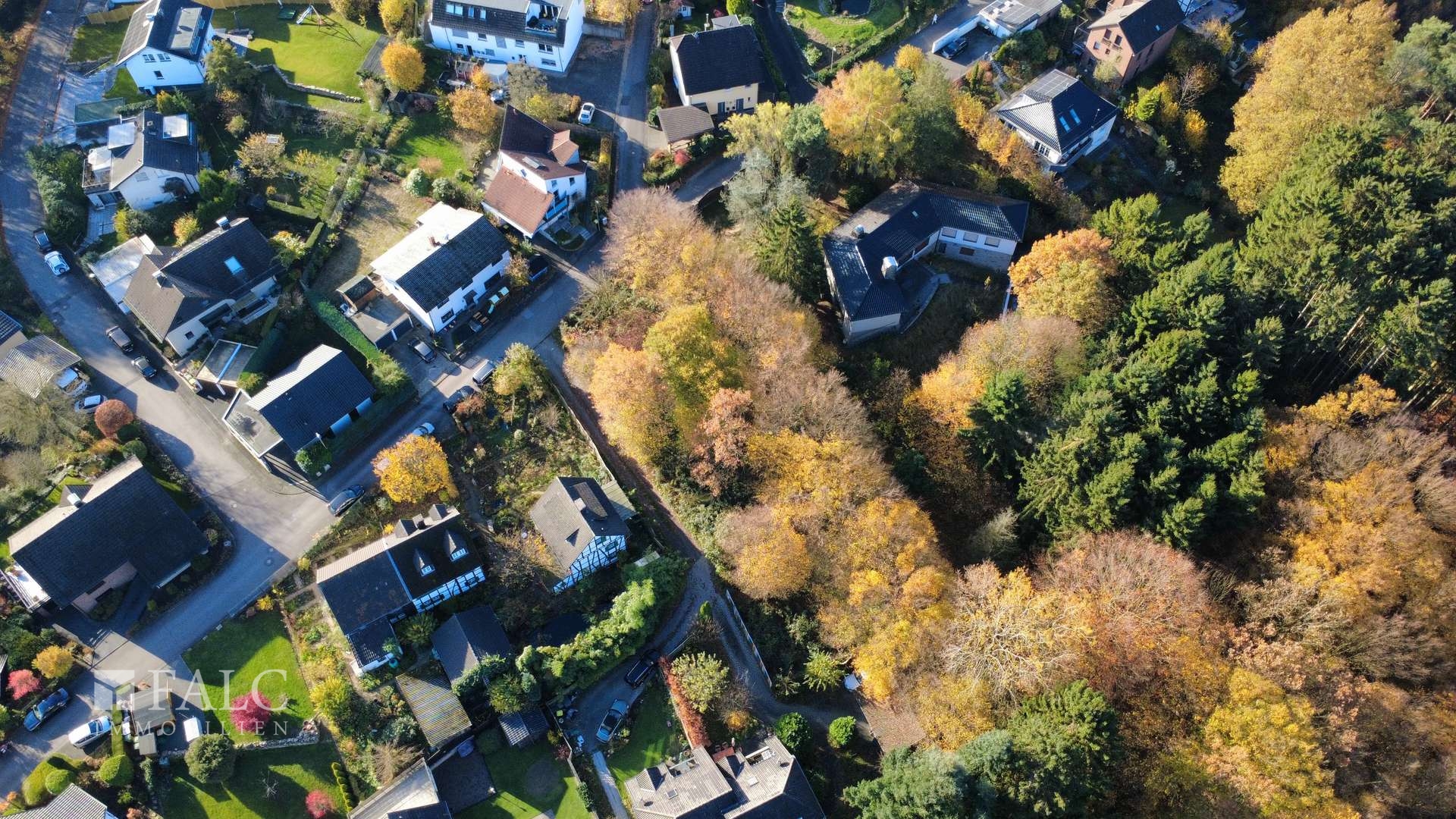 dji_fly_20251107_111304_27_1762510513455_photo_optimized