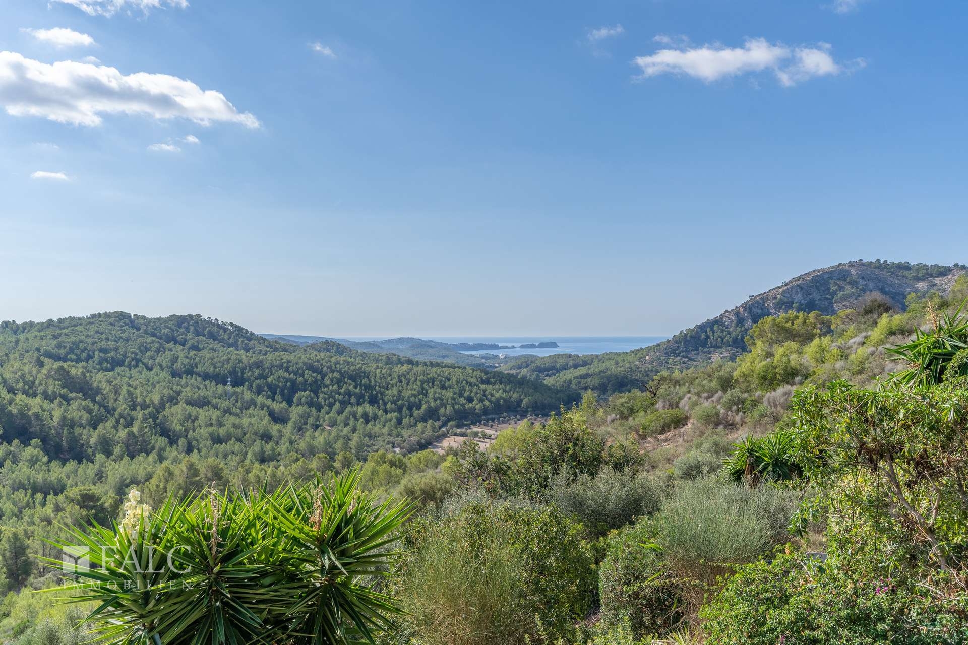 Aussicht