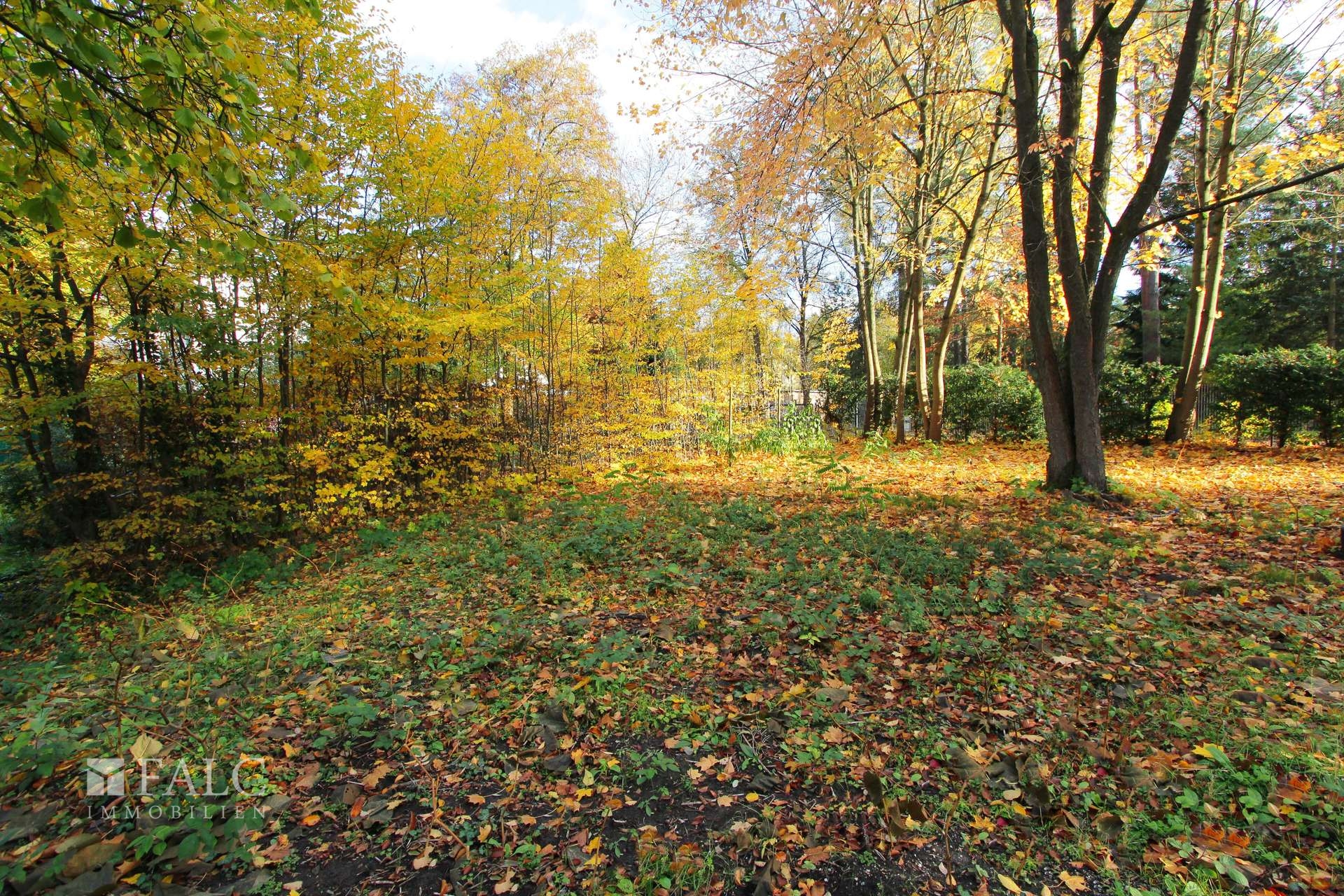 Viel Platz für Ihr Traumhaus