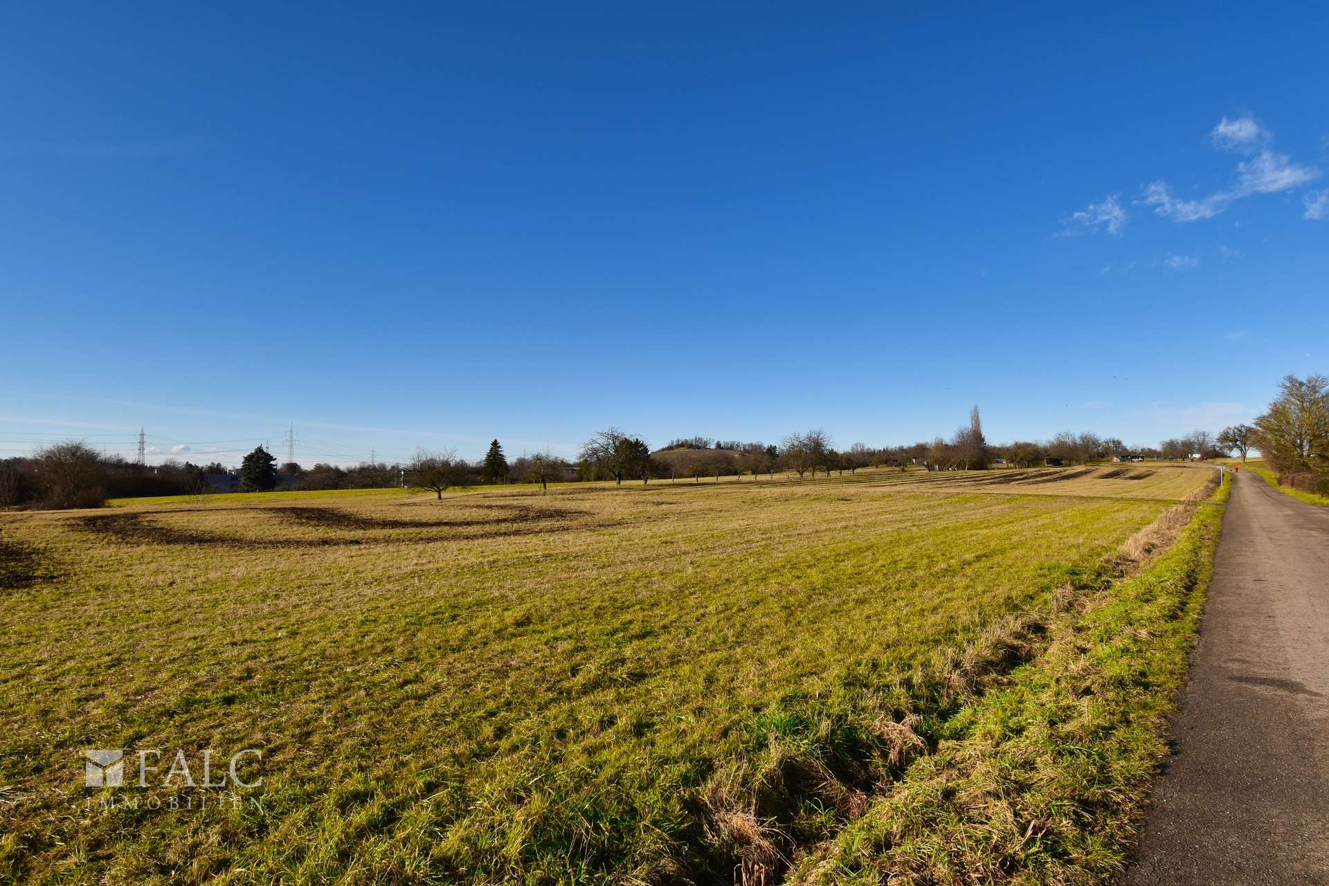 Spazieren am Feldrand