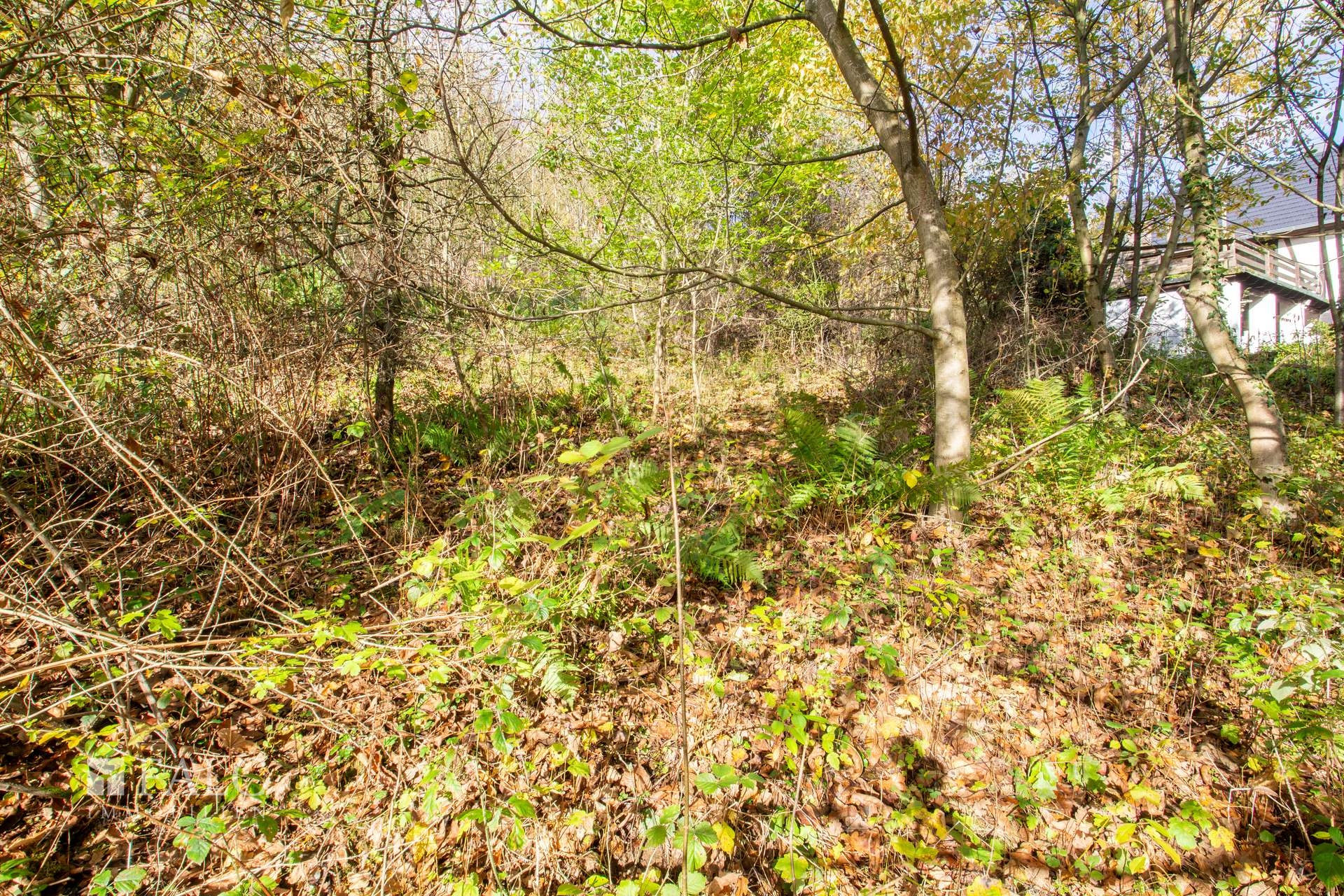 Blick ins Grundstück