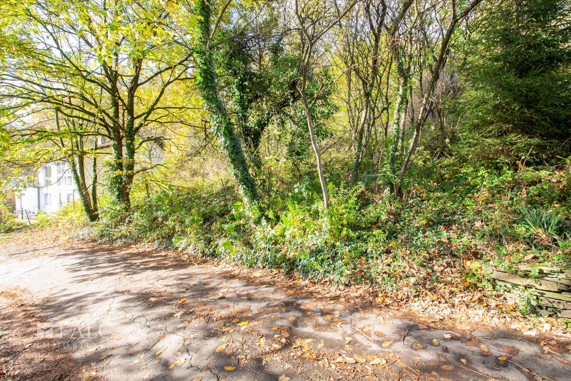 Straßenfront rechts