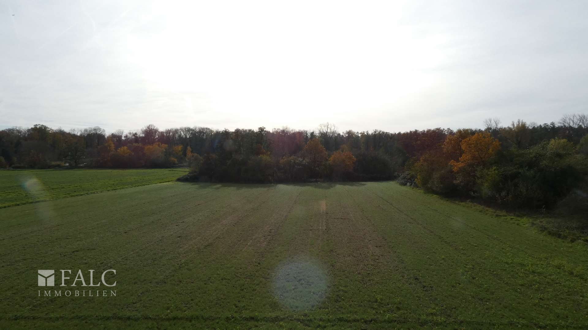 Blick über das Feld