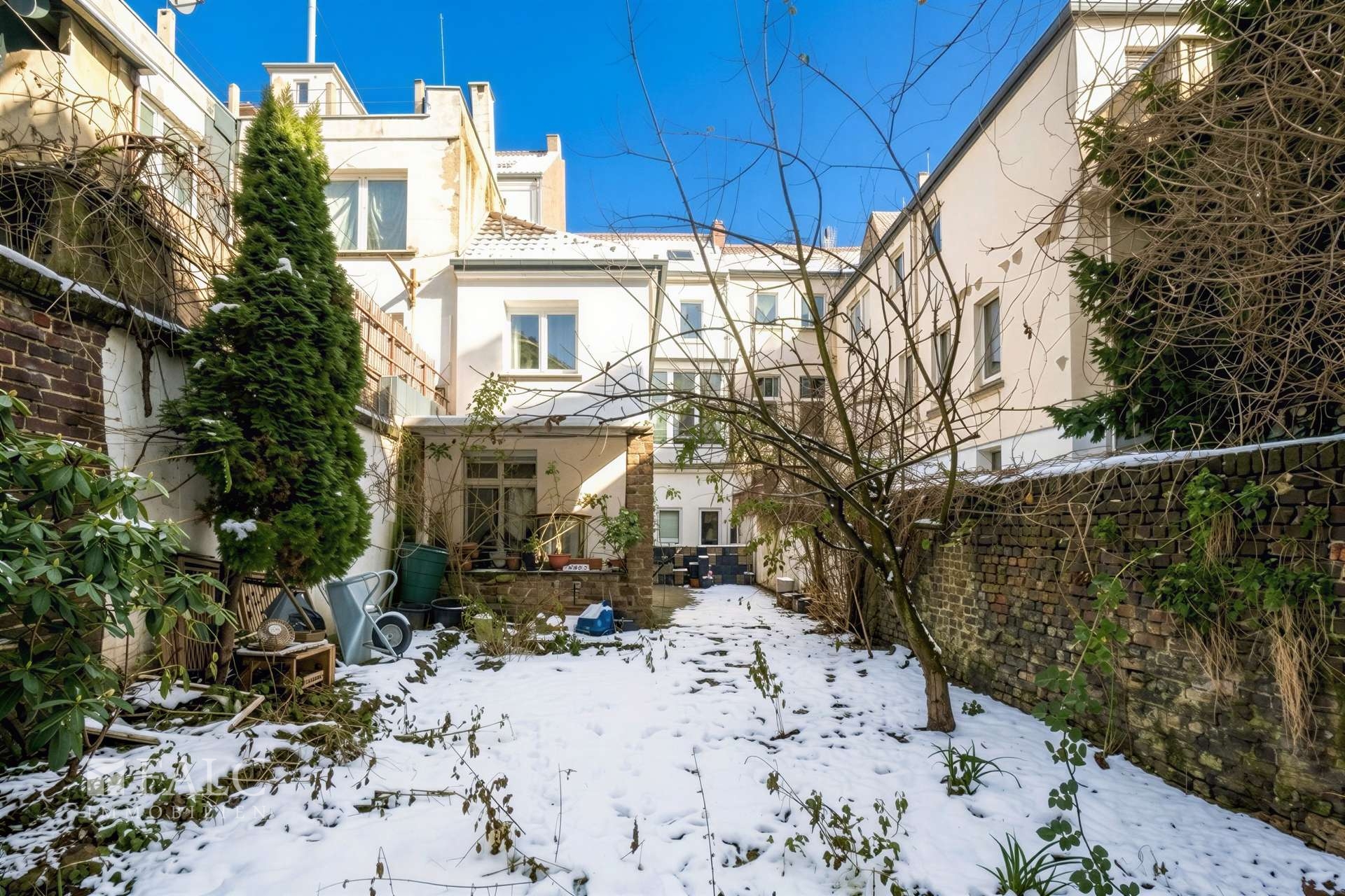 Garten und Hausrückseite 