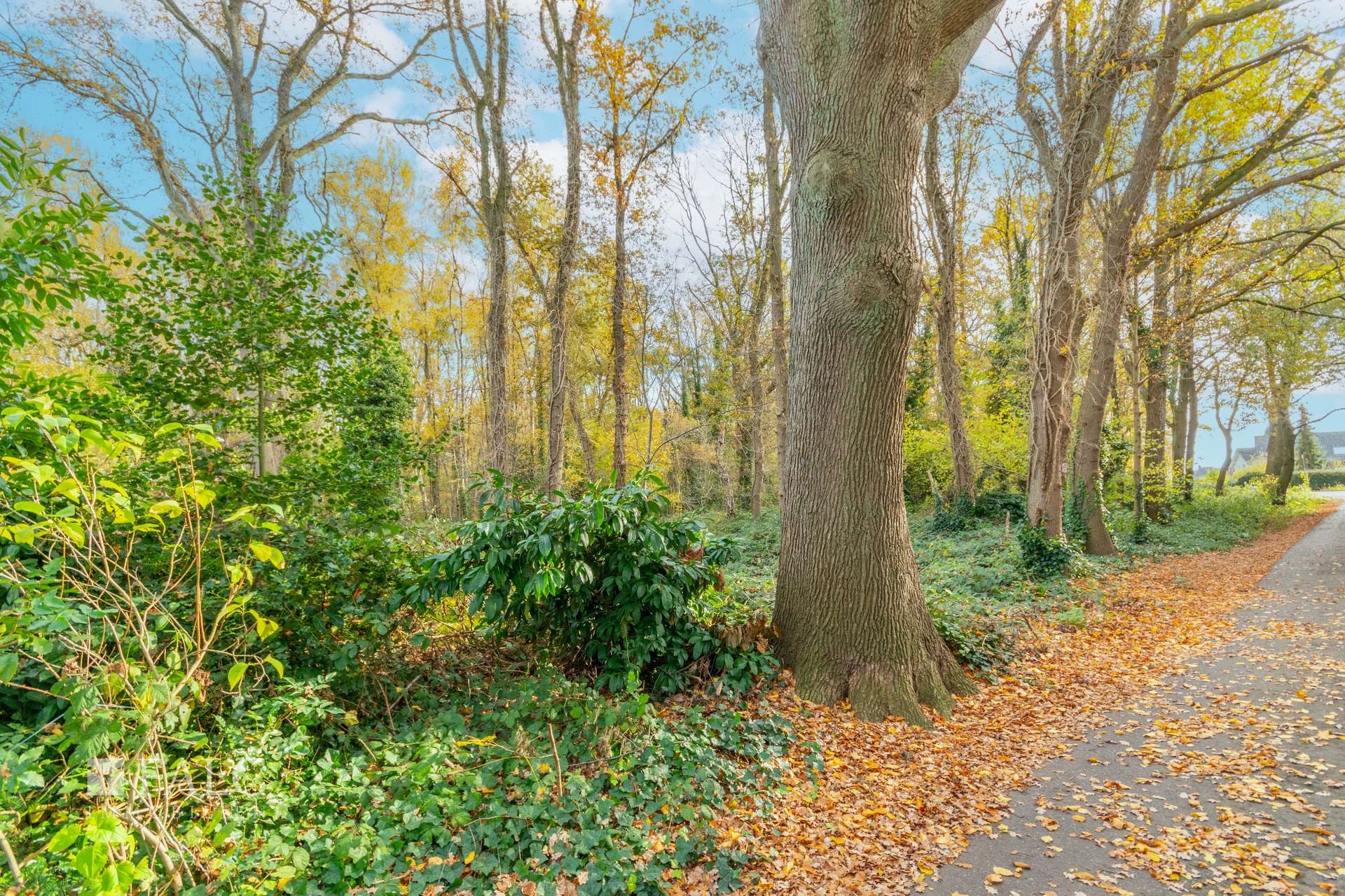 Blick ins Grundstück