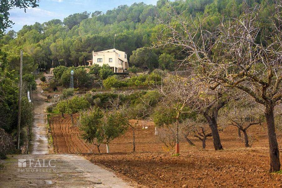 finca-manacor-11