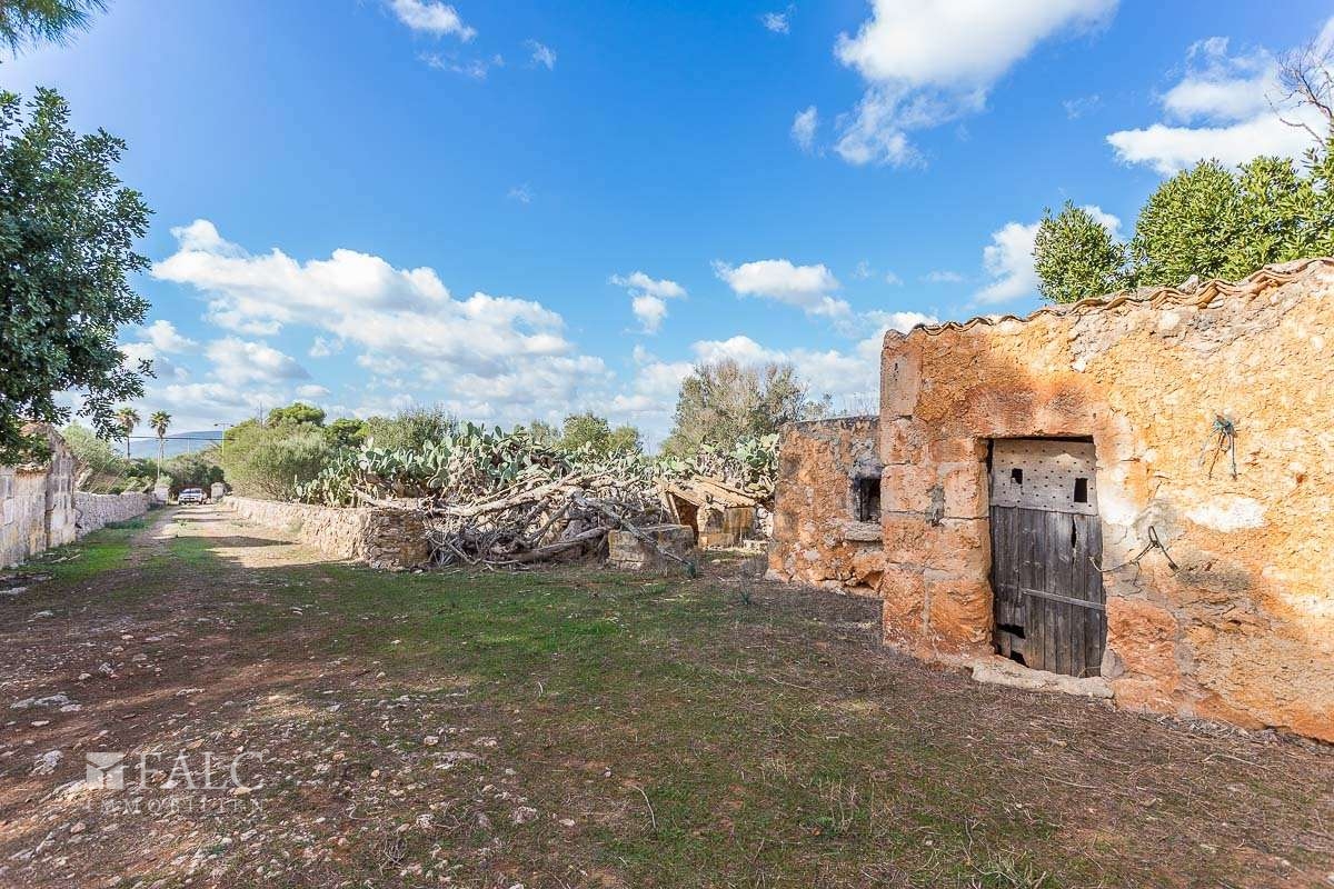 finca-manacor-20