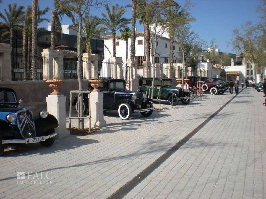 geschäftsgebäude-palma-5