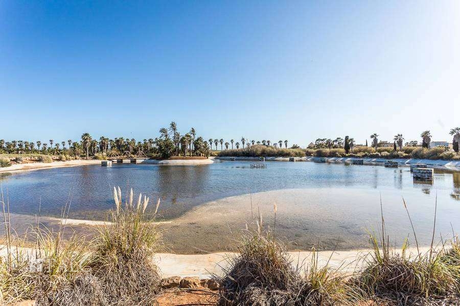 finca-ses-salines-18