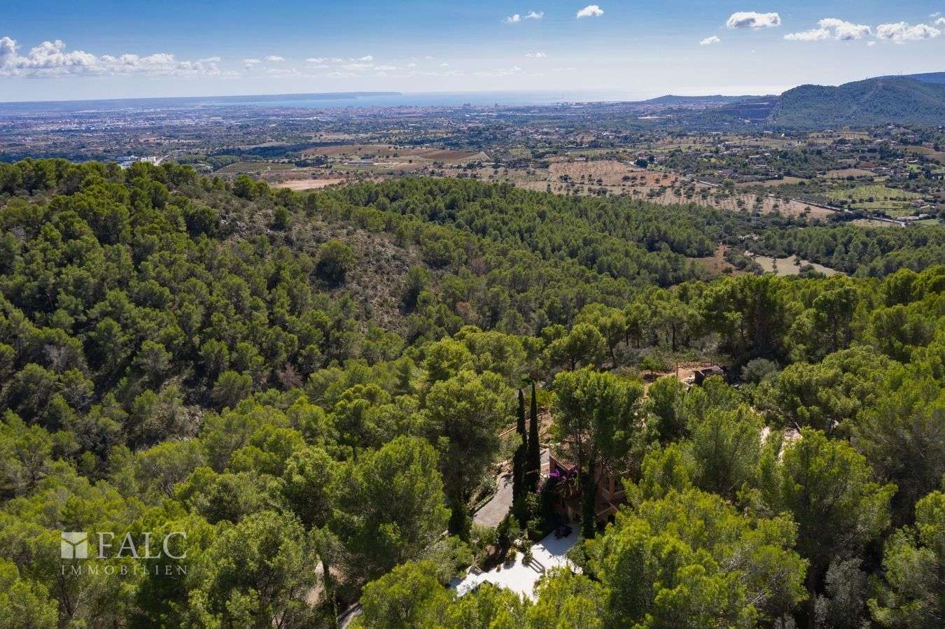 finca-estabilments-28