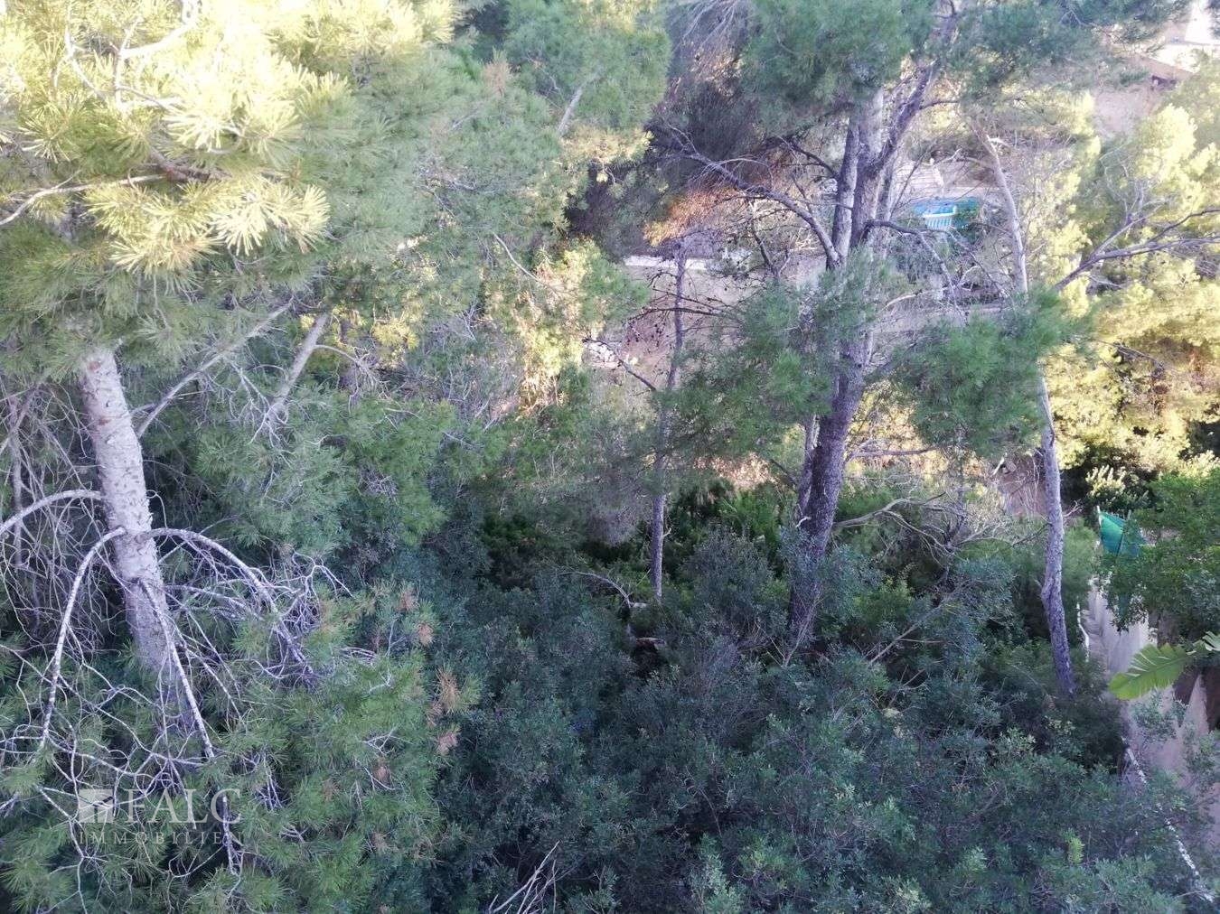 projekt-costa-de-la-calma-5