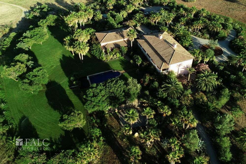 finca-santa-margalida-17