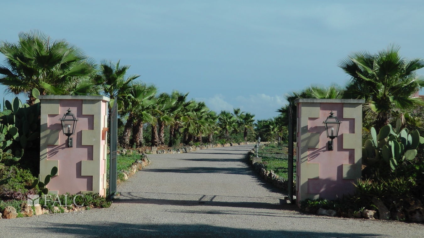 finca-santa-margalida-5