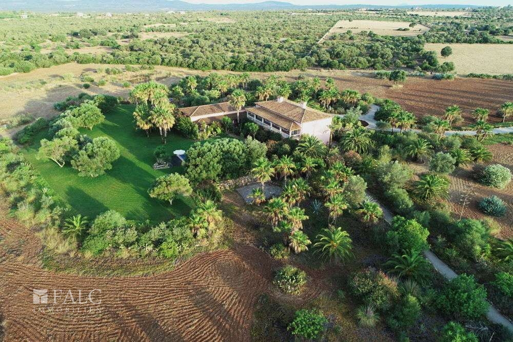 finca-santa-margalida-18