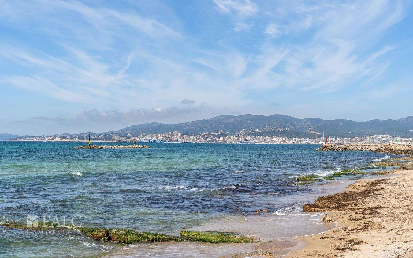 grundstück-molinar-9