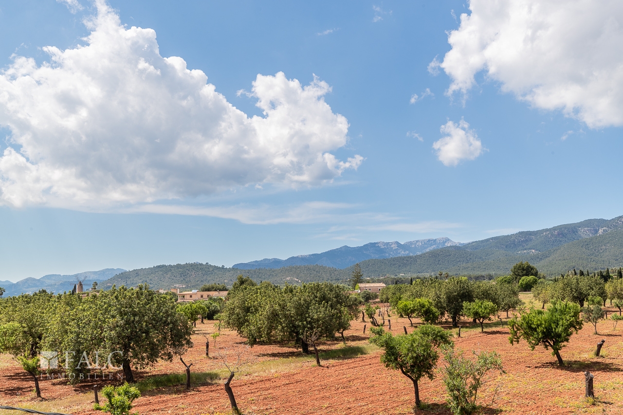 finca-santa-maria-20