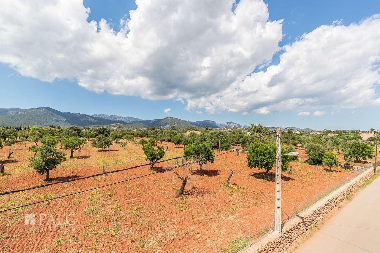 finca-santa-maria-19