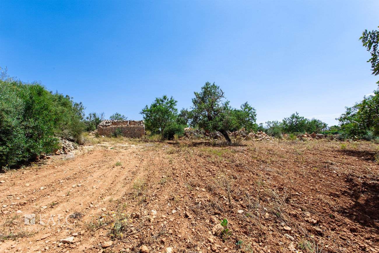 Terreno_M_14_Felanitx_08_Low