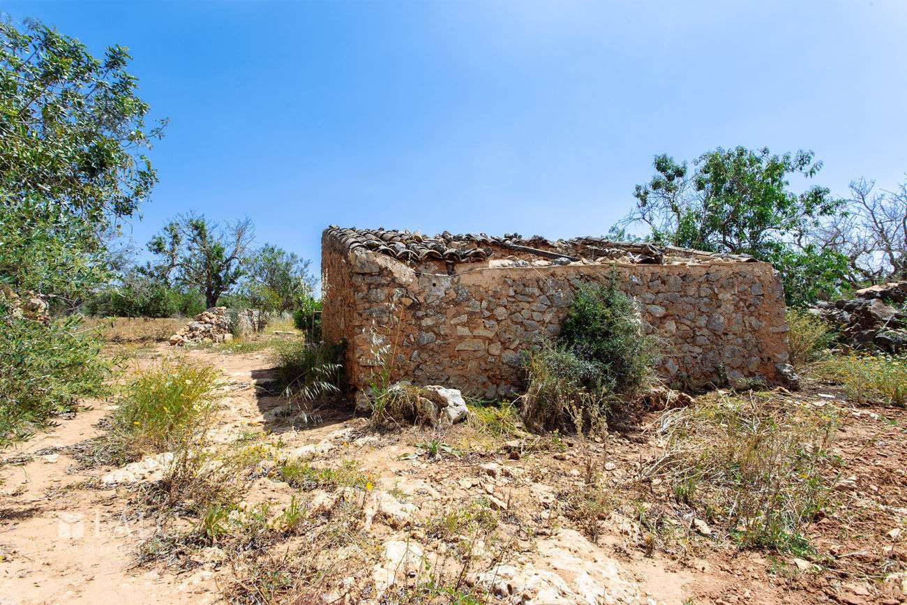 Terreno_M_14_Felanitx_09_Low